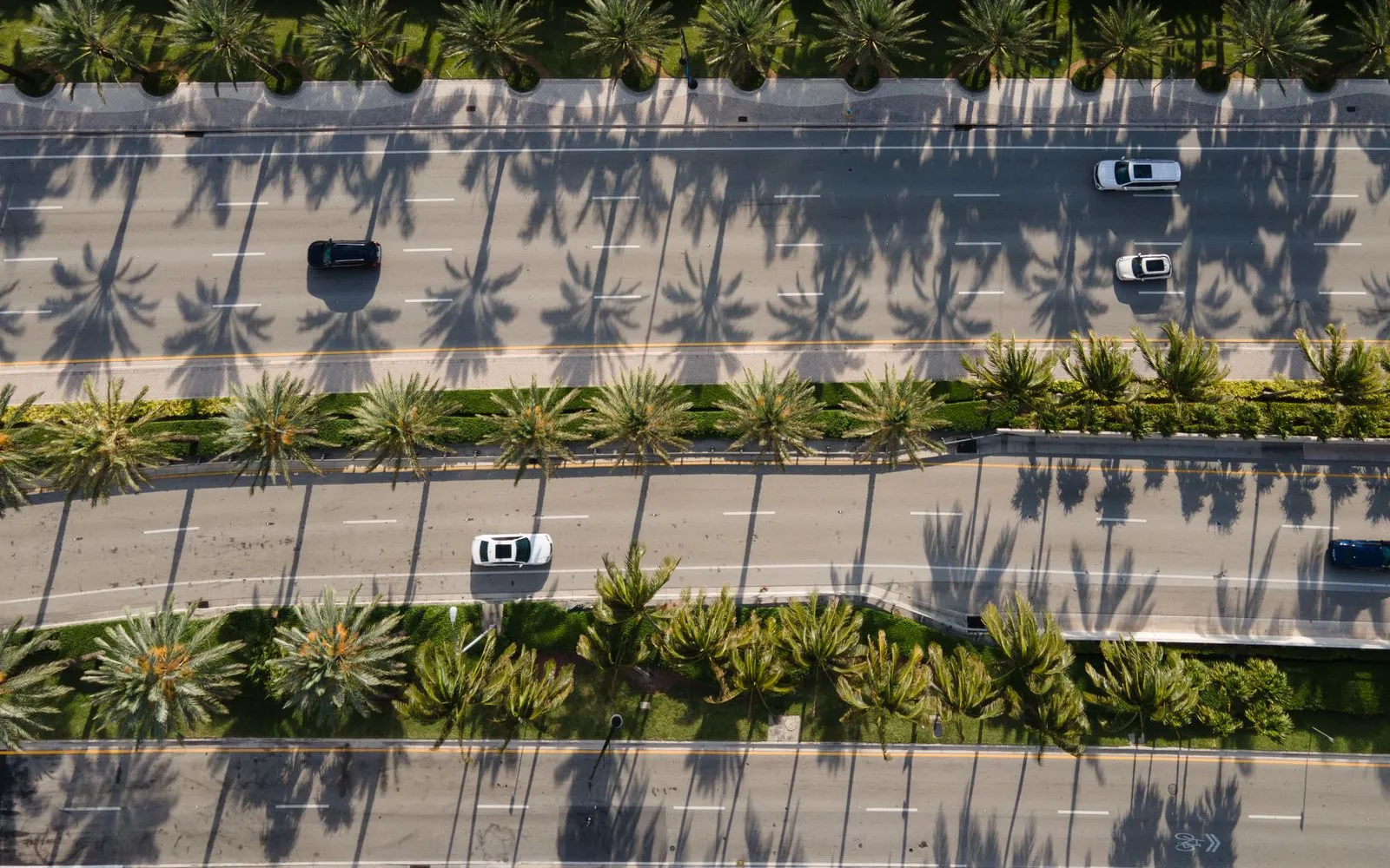 Aerial view of a palm-lined coastal road in Florida with light traffic