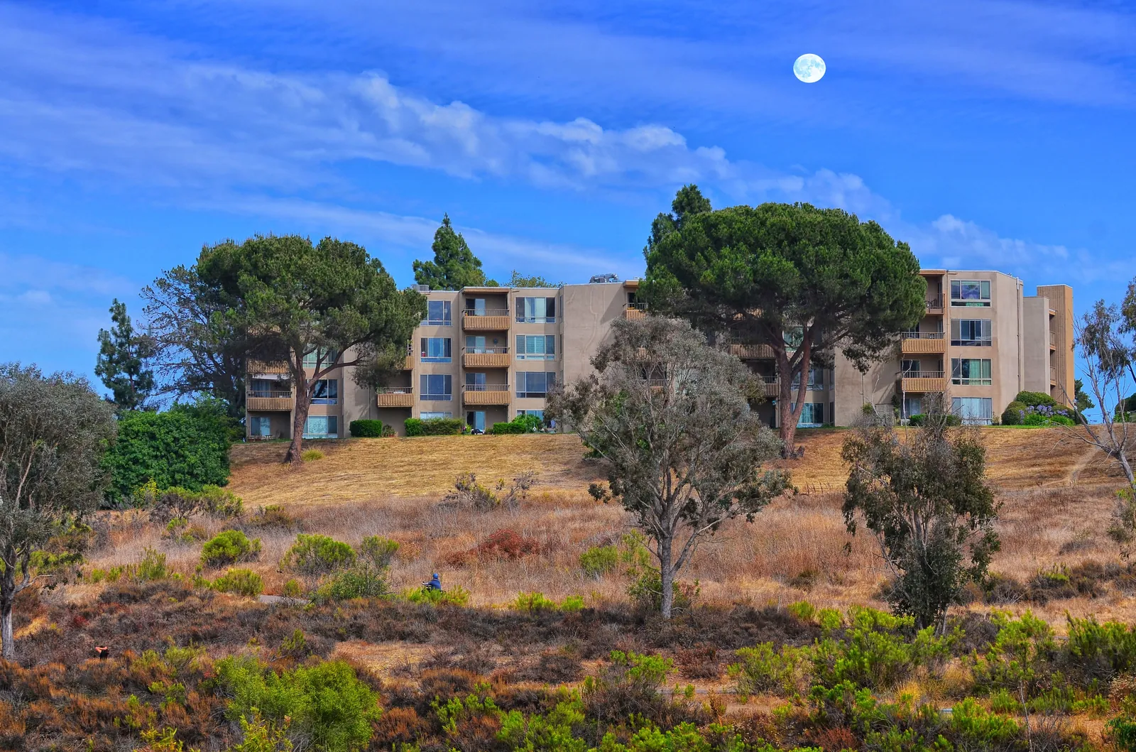Rows of California apartment and condominium buildings against a bright blue sky