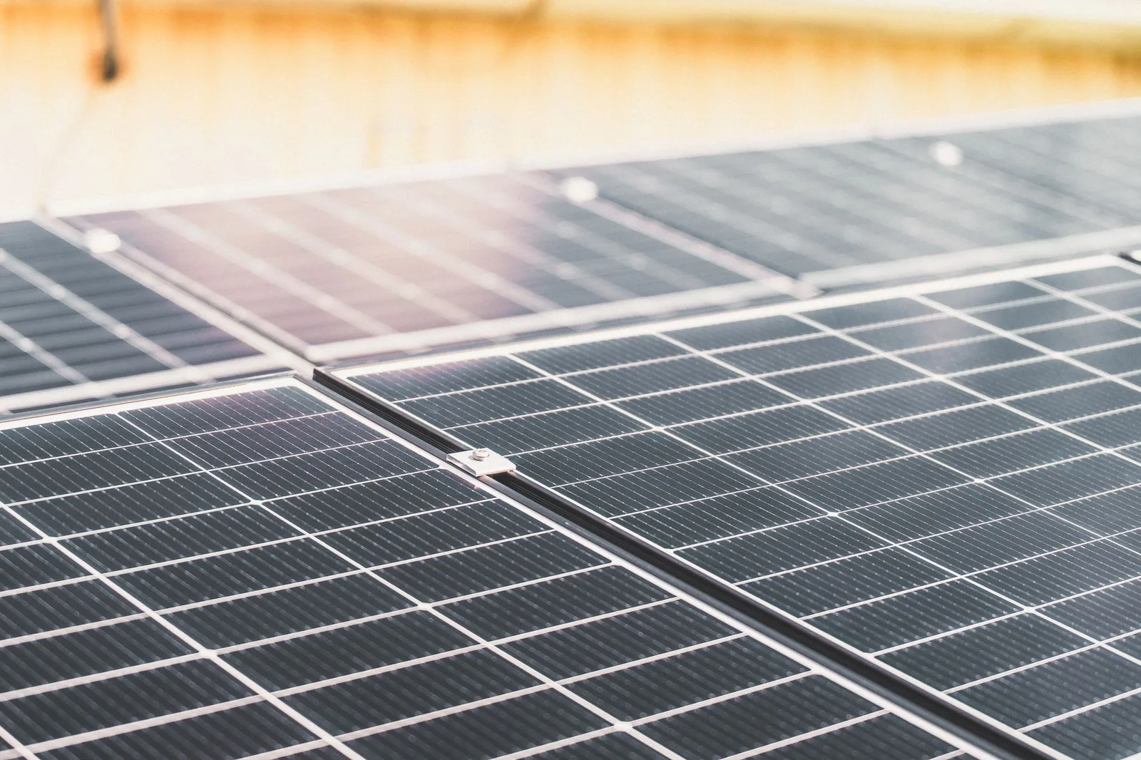 Close-up of a rooftop solar panel array in warm afternoon light