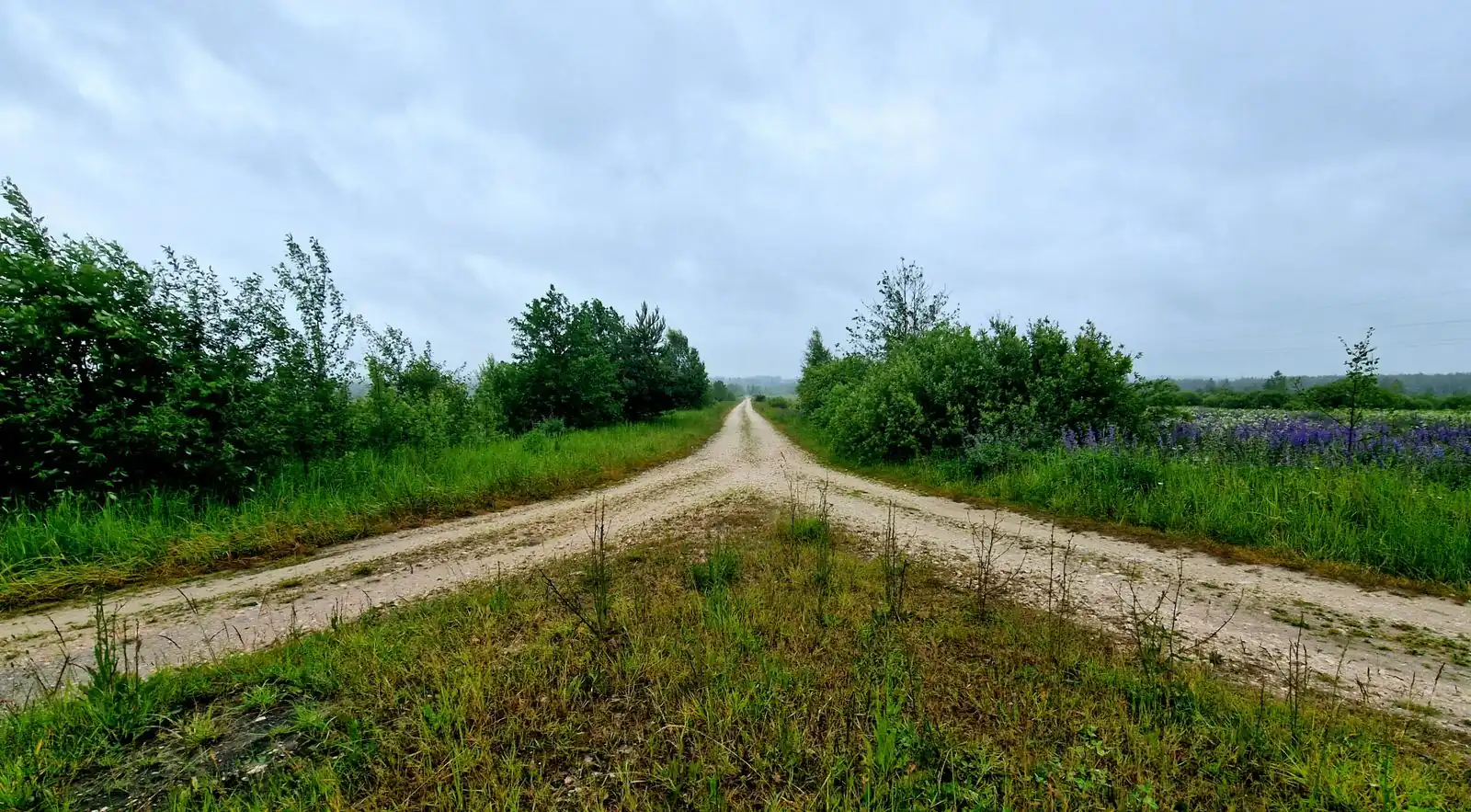 A gravel road splitting into two tracks through green fields under an overcast sky